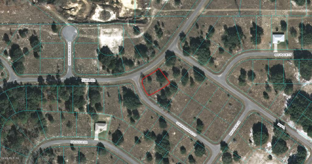 9042-1654-02 - 00 GUAVA TERRACE CT, OCKLAWAHA