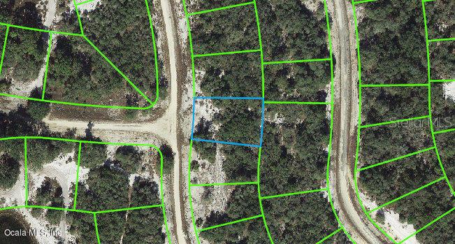 273 Rhythm DR