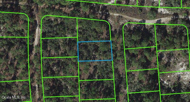 276 Suwannee DR