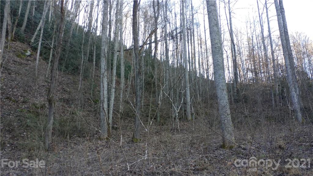 Lot 16 Red Hawk Bluff