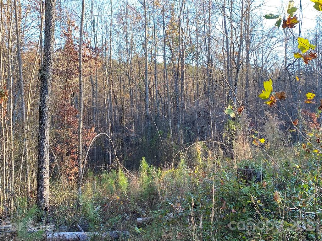 Lot at Lot 13 Pilot Ridge Road, Nebo, photo 16 of 28