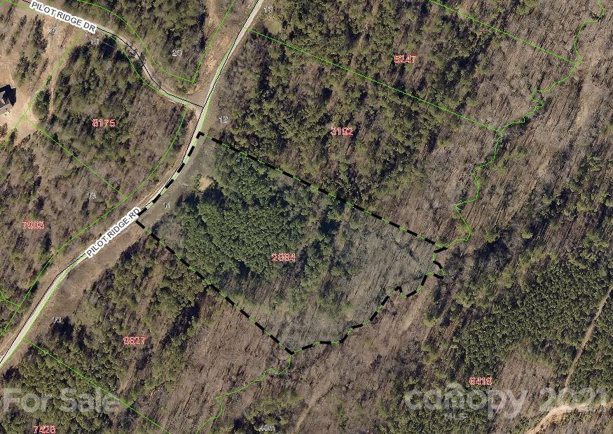 316 Pilot Ridge Road