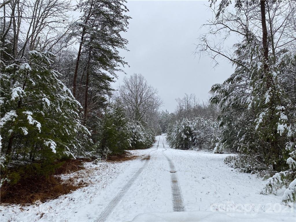 Acreage at 316 Pilot Ridge Road, Nebo, photo 31 of 33
