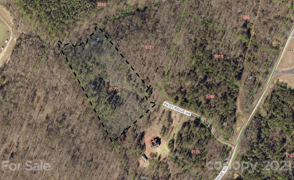95 Pilot Ridge Road