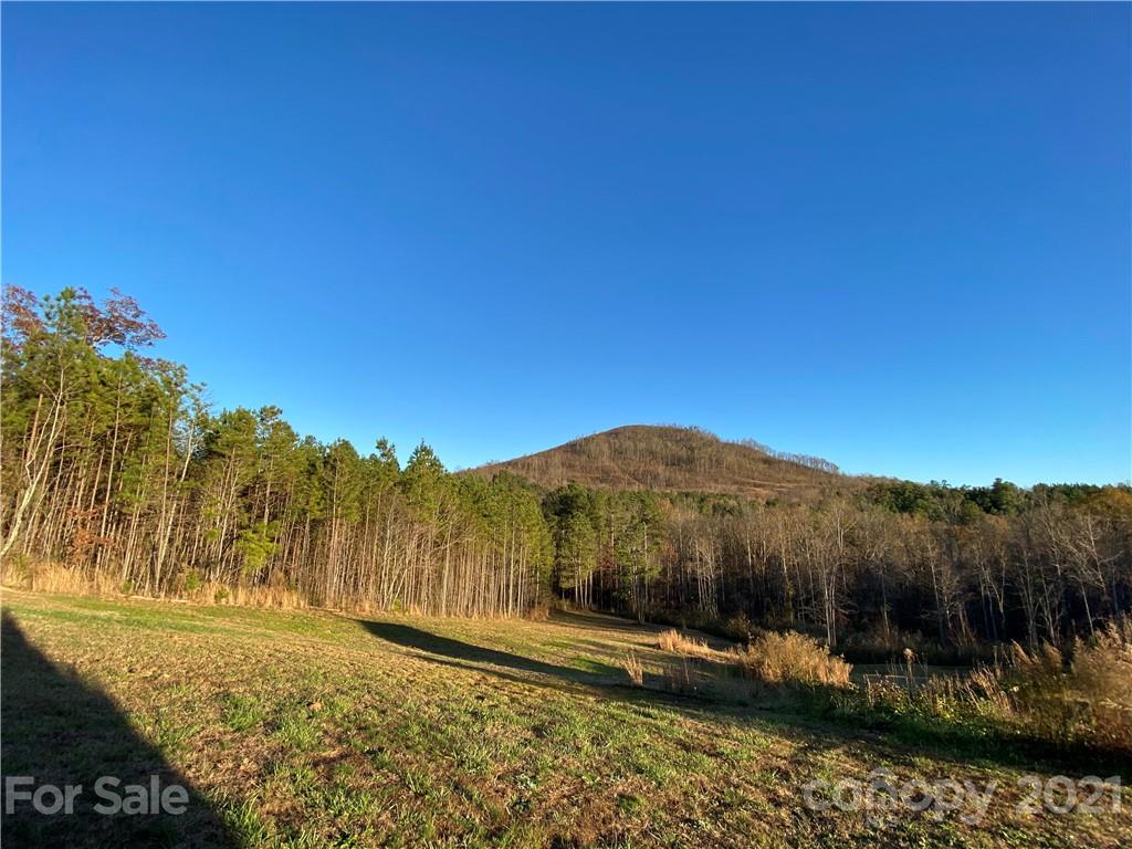 Acreage at 95 Pilot Ridge Road, Nebo, photo 13 of 32