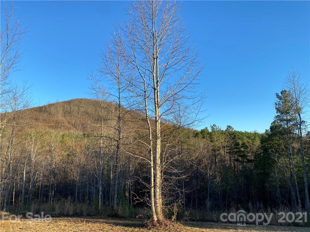 Acreage at 94 Pilot Ridge Road, Nebo, photo 12 of 32