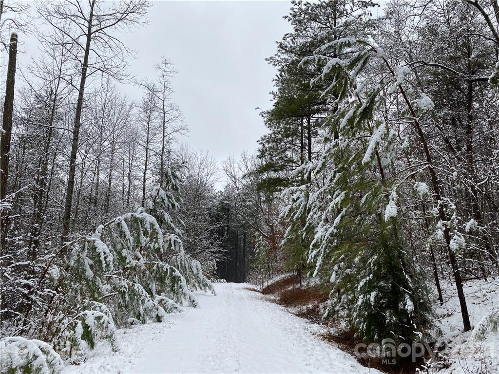 Acreage at 94 Pilot Ridge Road, Nebo, photo 29 of 32