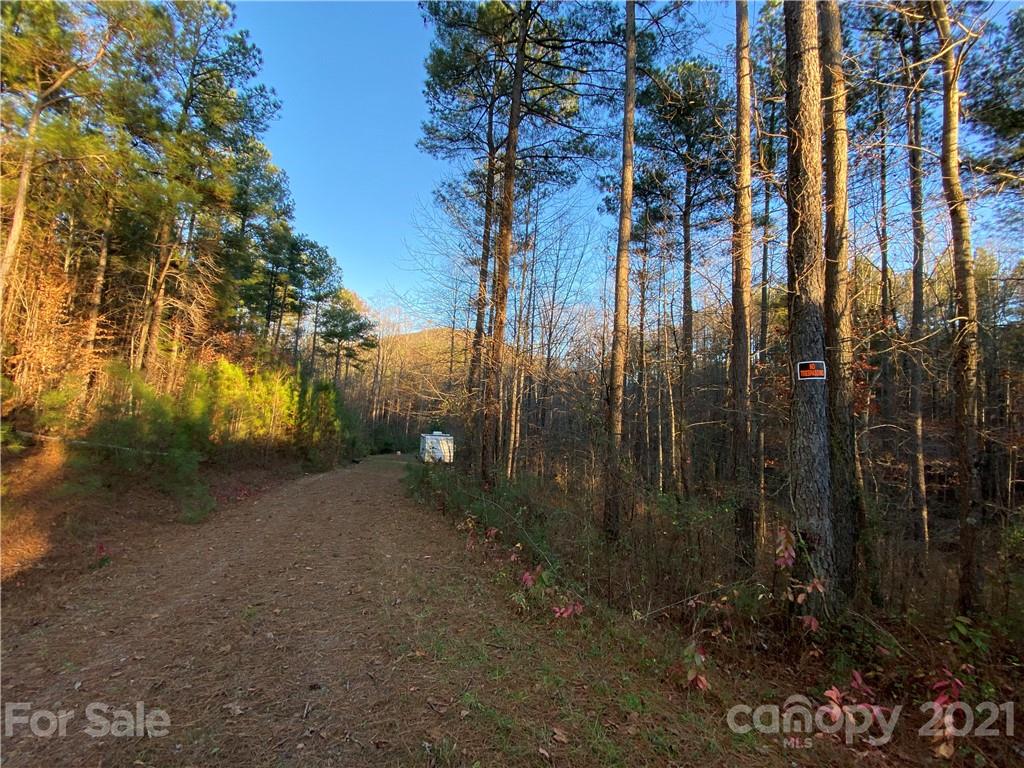 Acreage at 221 Pilot Ridge Road, Nebo, photo 31 of 32