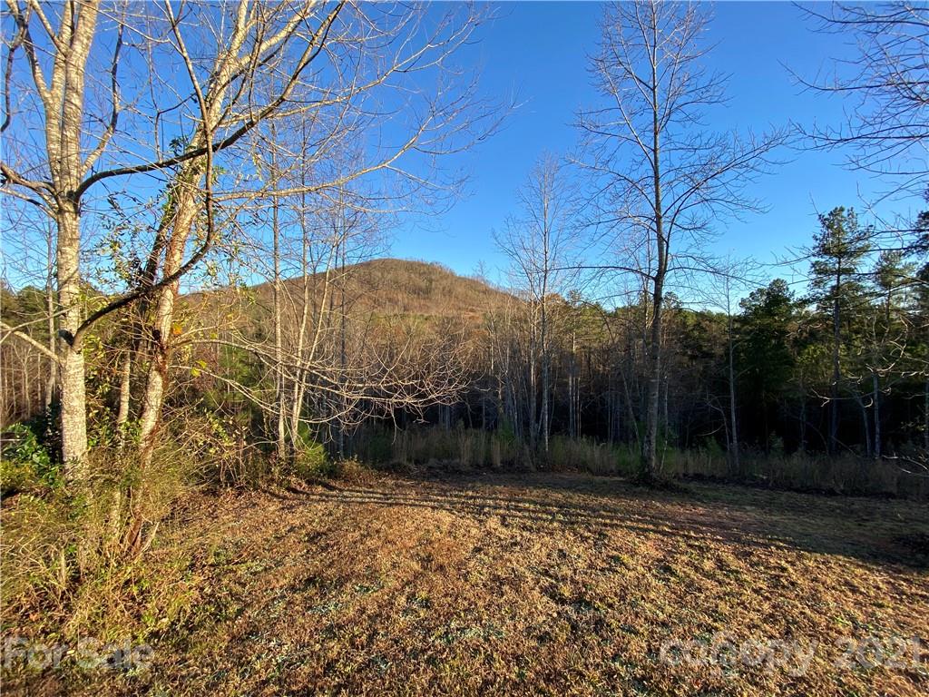 Acreage at 159 Pilot Ridge Road, Nebo, photo 14 of 32
