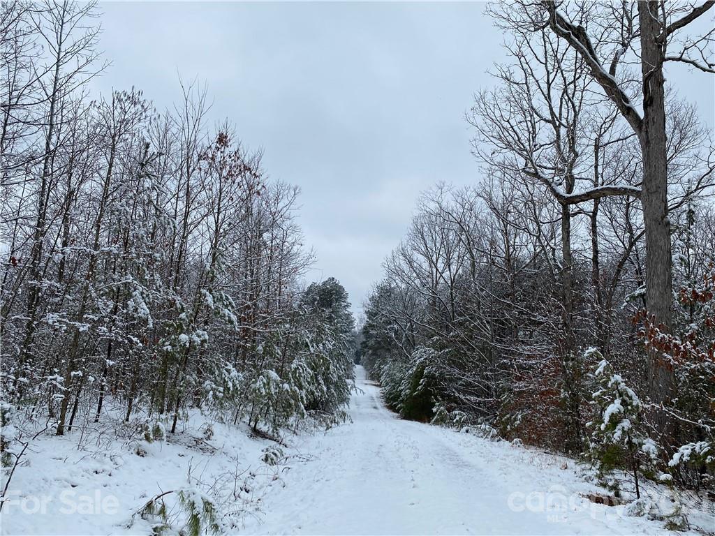 Acreage at 481 Pilot Ridge Road, Nebo, photo 25 of 32