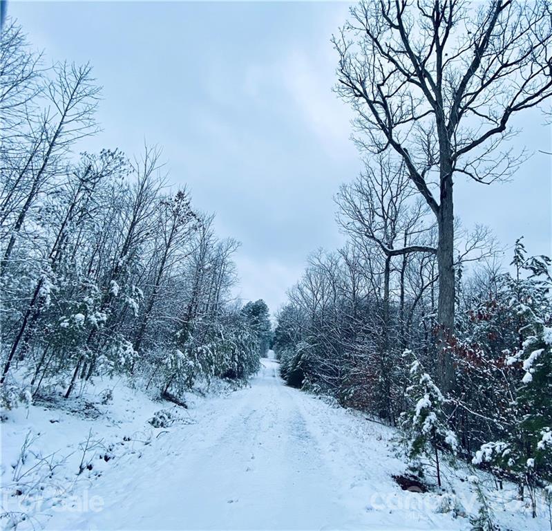 Acreage at 58 Pilot Ridge Road, Nebo, photo 26 of 32