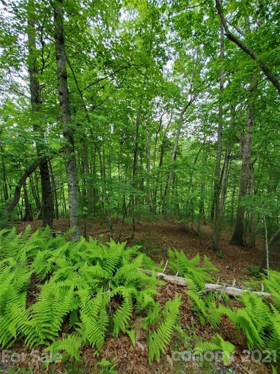 Lot at 141 River Club Trail, Marshall, photo 2 of 27