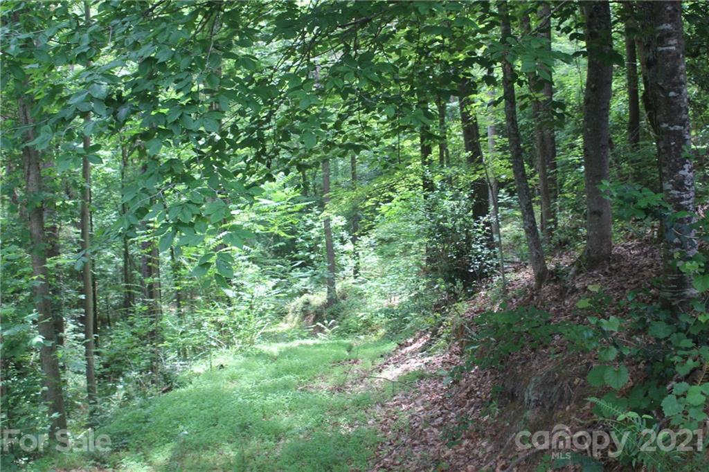 Lot at 2202 Island View Lane NE, Connelly Springs, photo 8 of 12