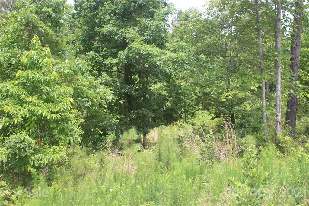 Lot at 1826 Lake Vista Drive NE, Connelly Springs, photo 2 of 9