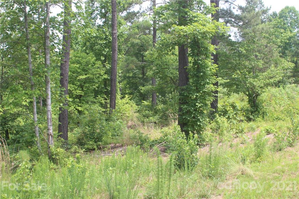 Lot at 1826 Lake Vista Drive NE, Connelly Springs, photo 5 of 9