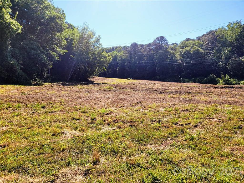 Unimproved Commercial at 99999 Hendersonville Road, Arden, photo 8 of 12