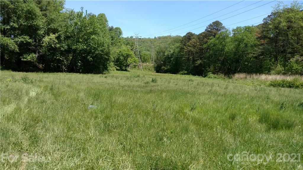 View of Property from US 25/Hendersonville Road - 99999 Hendersonville Road, Arden