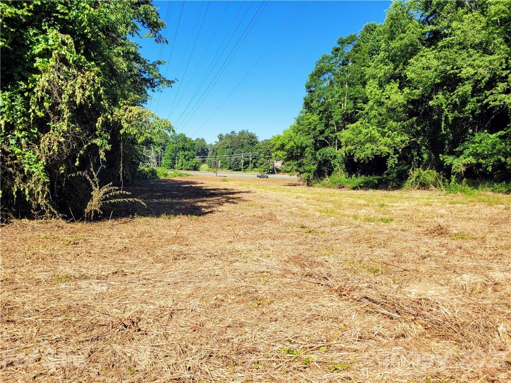 Unimproved Commercial at 99999 Hendersonville Road, Arden, photo 13 of 15