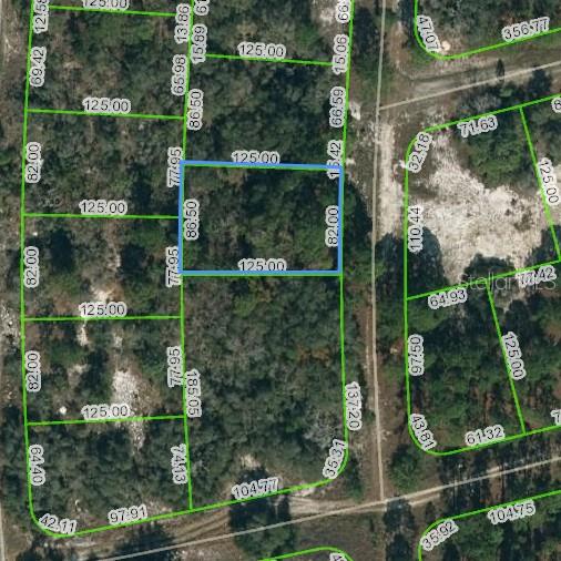 244 BLUE HORIZON DR