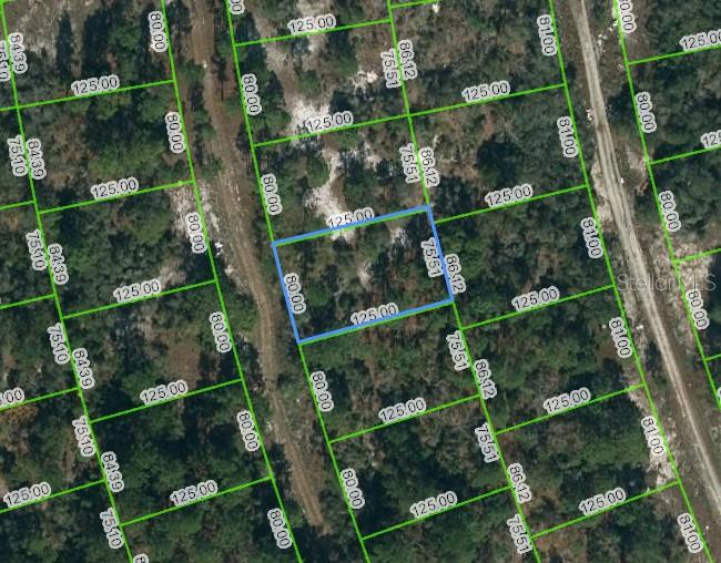 217 BLUE HORIZON DR