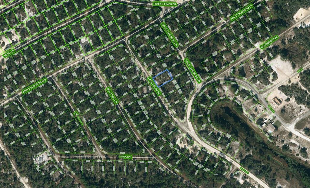 519 LAKE HELEN DR