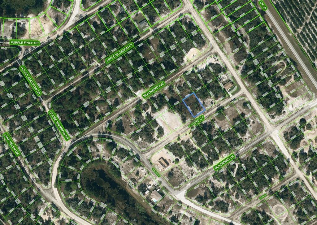 452 BLACKBIRD CT
