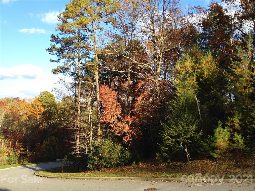 Lot at Upper Camptown Road, Brevard, photo 2 of 2