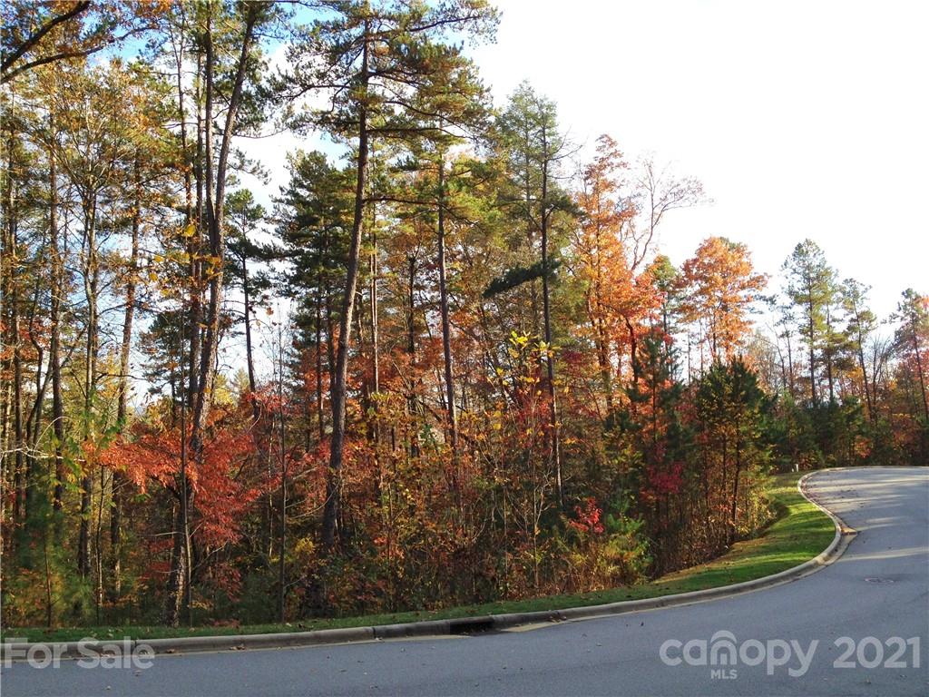 Lot at Upper Camptown Road, Brevard, photo 2 of 4