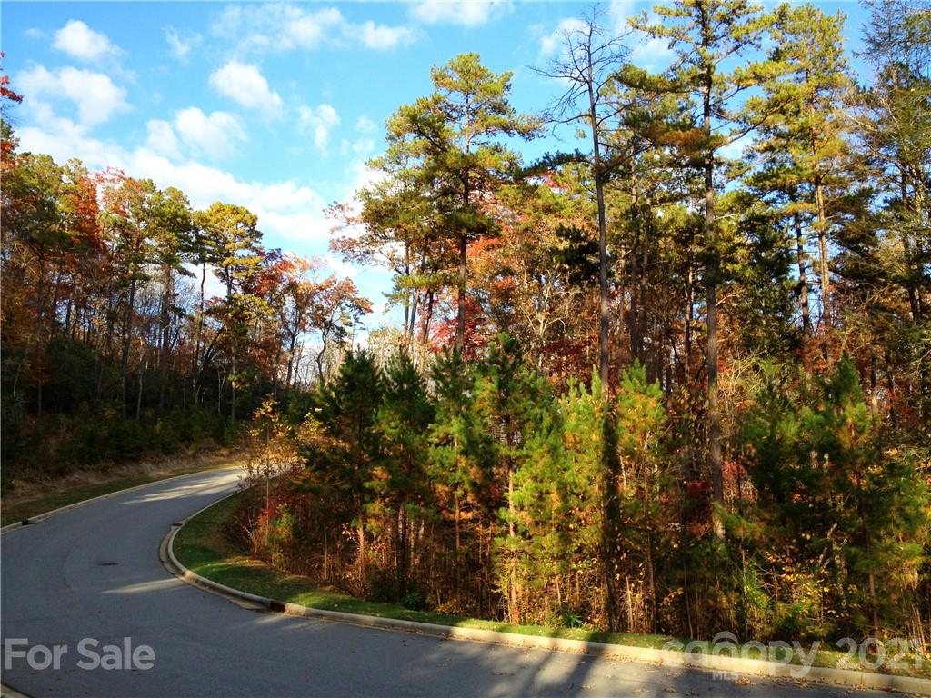 Lot at Upper Camptown Road, Brevard, photo 4 of 4