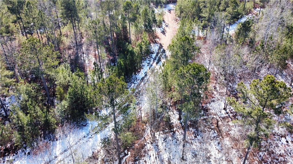 Acreage at 0 Hugh Champion Road, Tryon, photo 4 of 7