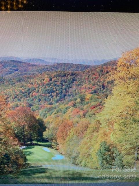Lot at 00 Trillium Lane, Mars Hill, photo 9 of 21