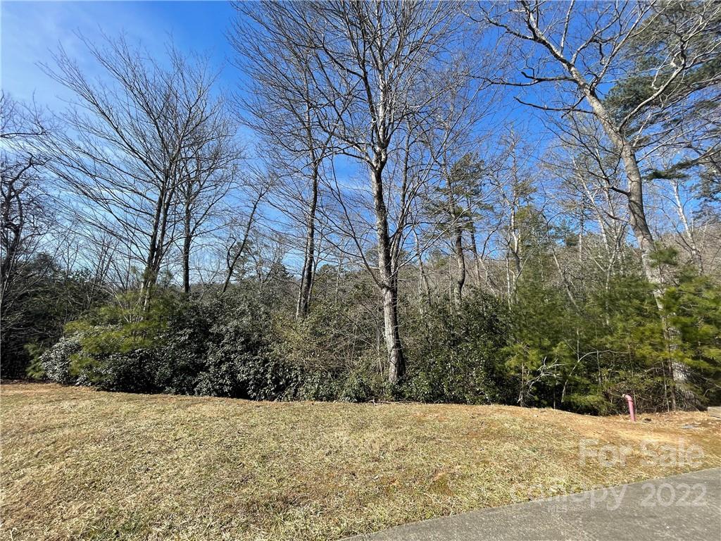 Lot at SH11 Springhouse Trail, Brevard, photo 2 of 25