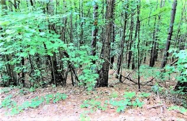 Lot at 0 Chasewood Drive, Rutherfordton, photo 2 of 16