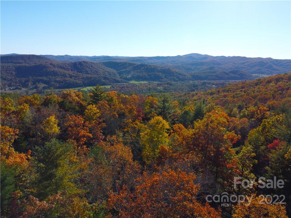 Lot at 000 Emma Bri Lane, Hendersonville, photo 2 of 5