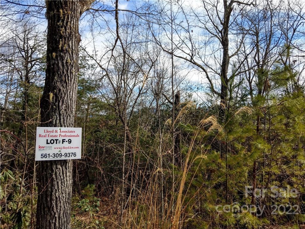 Lot at 000 Emma Bri Lane, Hendersonville, photo 3 of 5