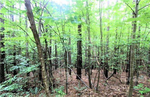 Lot at 0 Chasewood Drive, Rutherfordton, photo 2 of 15