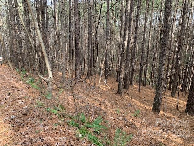 Lot at 0 Chasewood Drive, Rutherfordton, photo 3 of 15