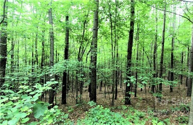 Lot at 0 Chasewood Drive, Rutherfordton, photo 4 of 15