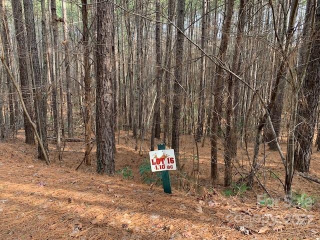 Lot at 0 Chasewood Drive, Rutherfordton, photo 5 of 15