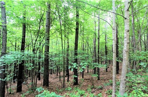 Lot at 0 Chasewood Drive, Rutherfordton, photo 6 of 15