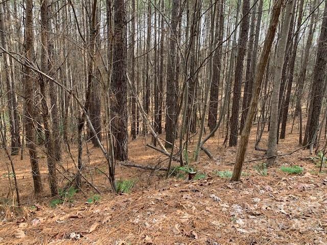 Lot at 0 Chasewood Drive, Rutherfordton, photo 7 of 15
