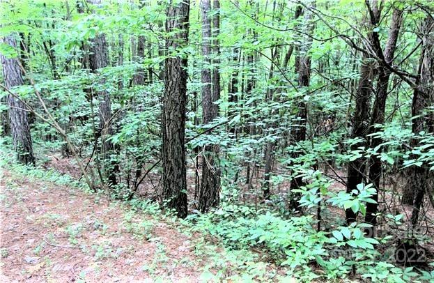 Lot at 0 Chasewood Drive, Rutherfordton, photo 8 of 15