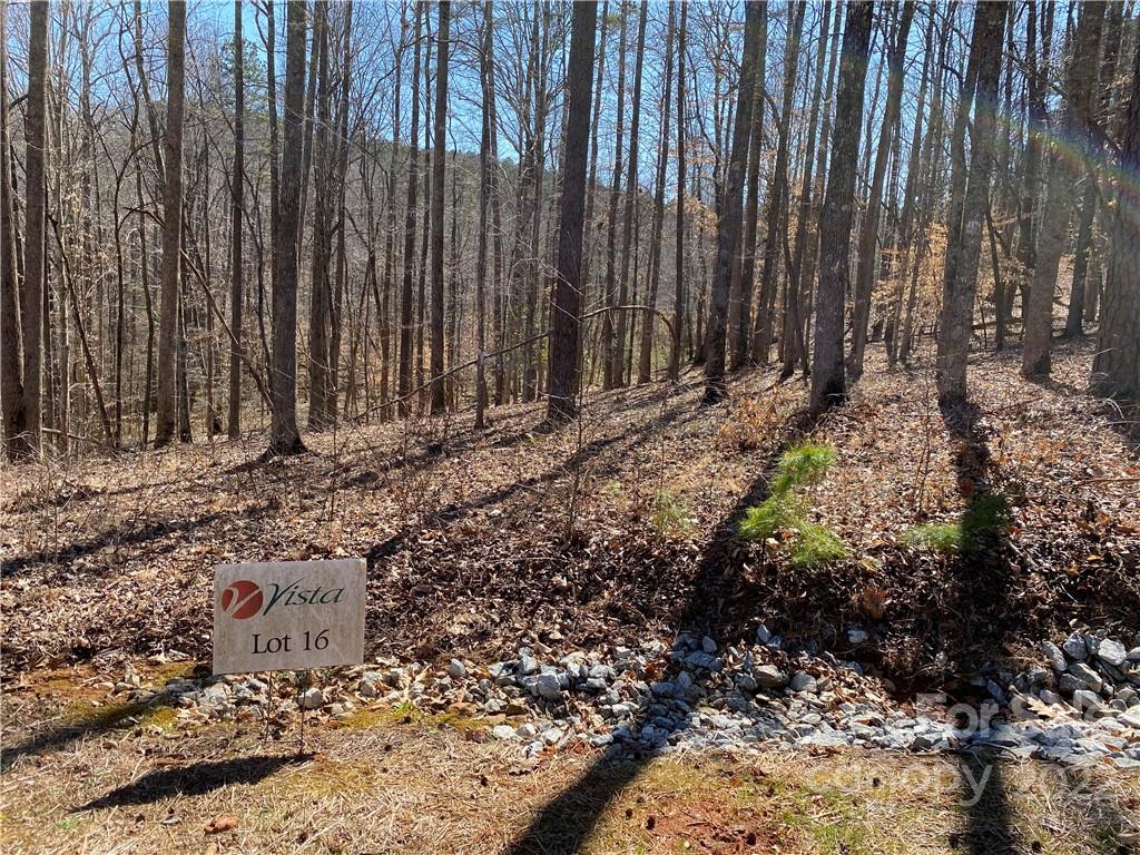 Lot at 000 Rambling Creek Road, Tryon, photo 3 of 11