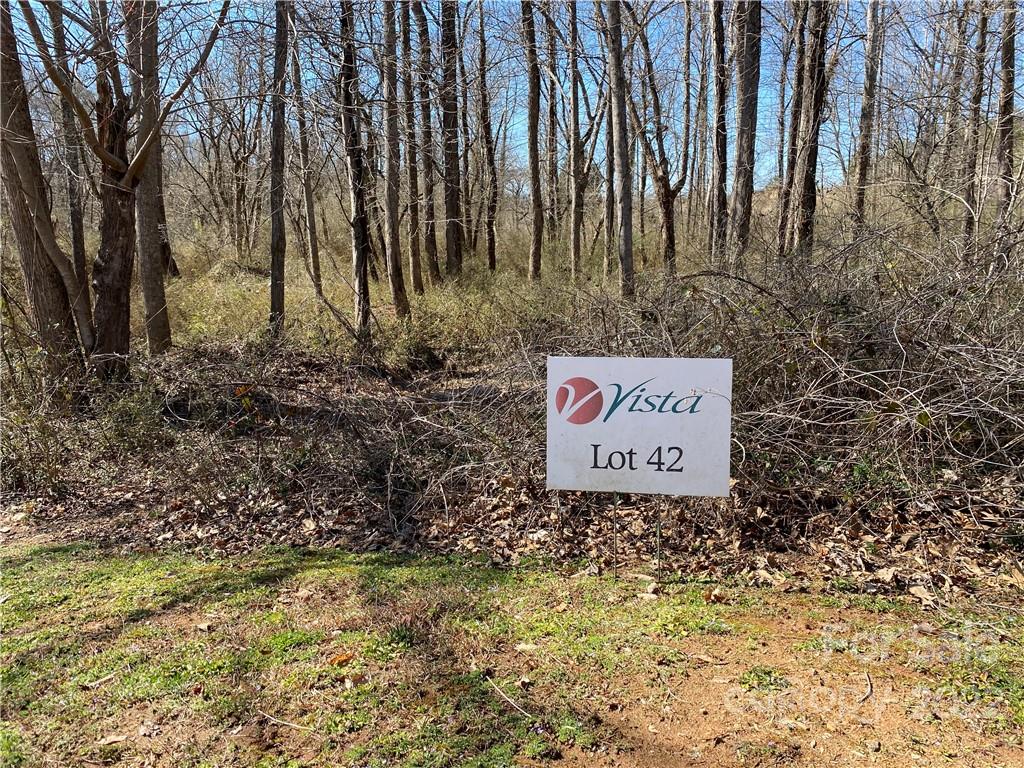 Lot at 000 Bridge Lane, Tryon, photo 2 of 10