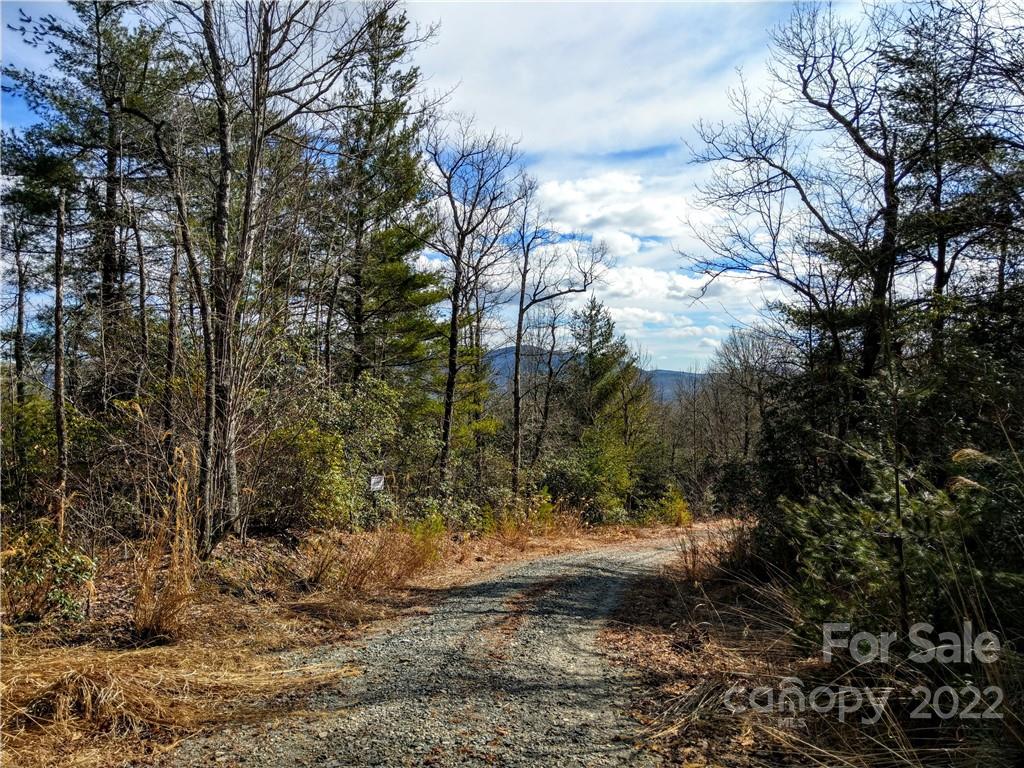 Lot at 000 Emma Bri Lane, Hendersonville, photo 2 of 7