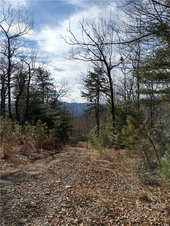 Lot at 000 Emma Bri Lane, Hendersonville, photo 4 of 7