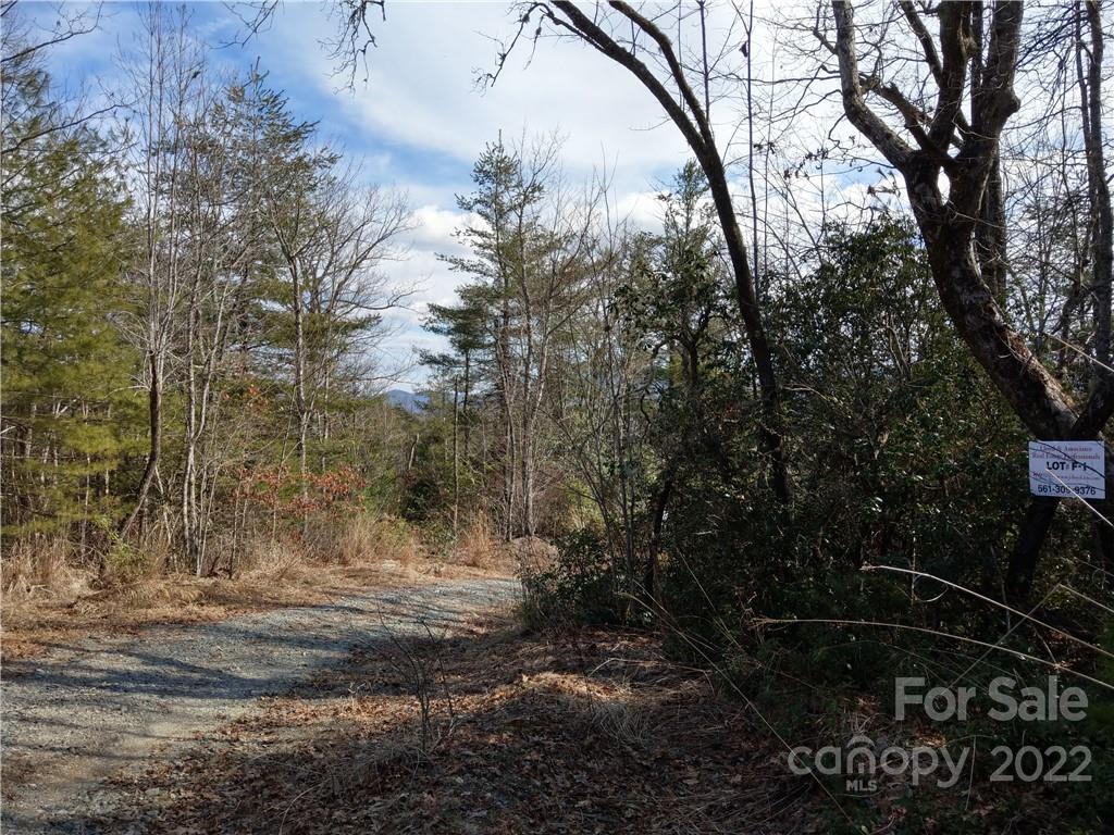 Lot at 000 Emma Bri Lane, Hendersonville, photo 5 of 7