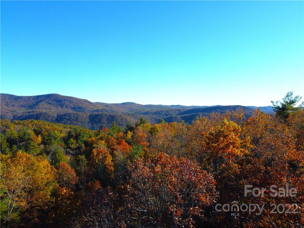 Aerial of view around Section F - Emma Bri Lane - 000 Emma Bri Lane, Hendersonville