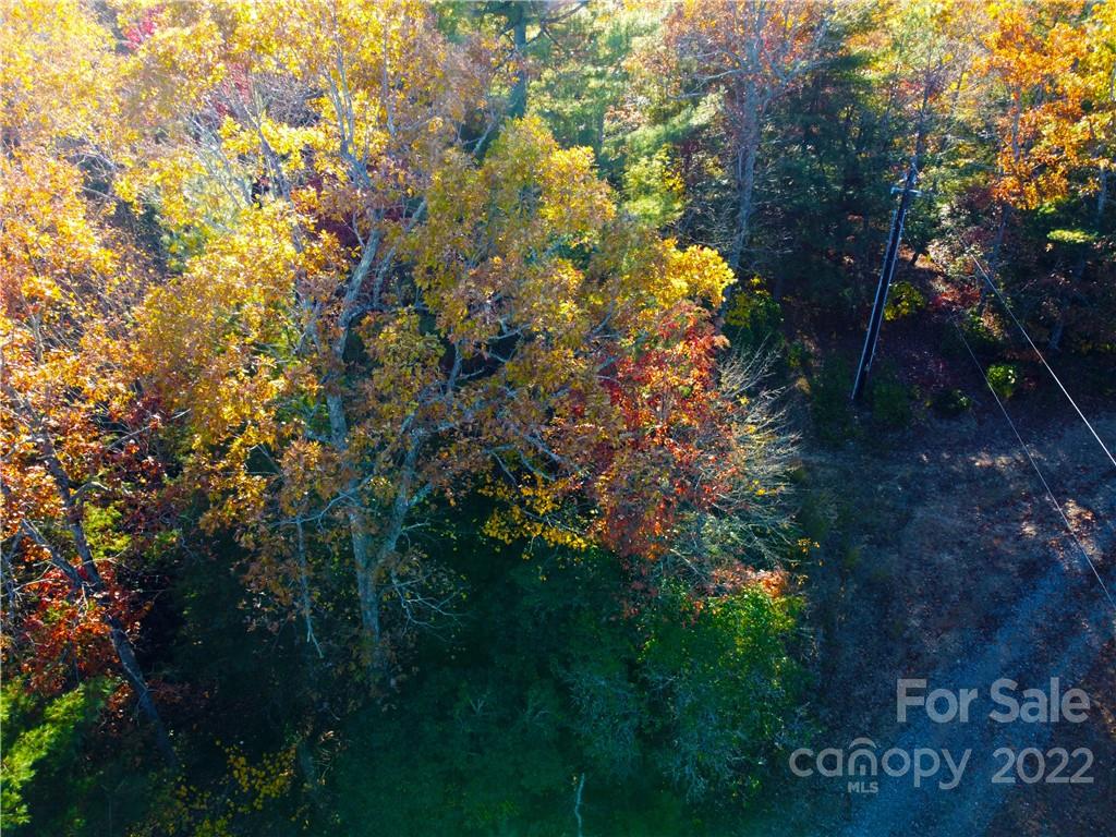 Lot at 000 Emma Bri Lane, Hendersonville
