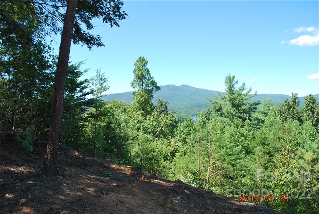 Lot at 675 Harborside Drive, Nebo, photo 2 of 29
